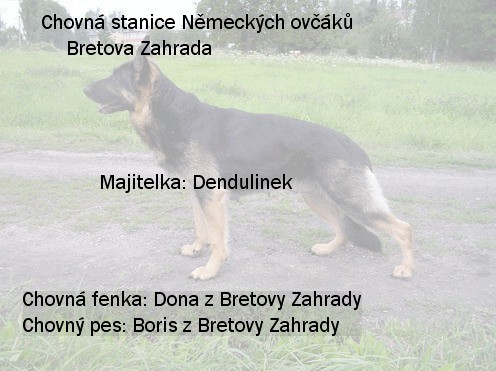 Dona1.jpg